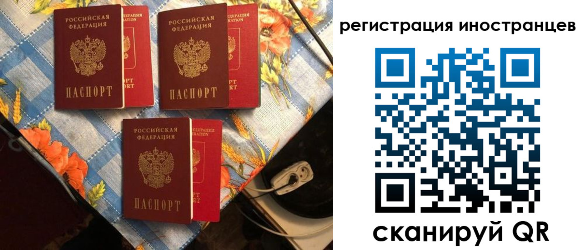 прописка поиск в Бикине